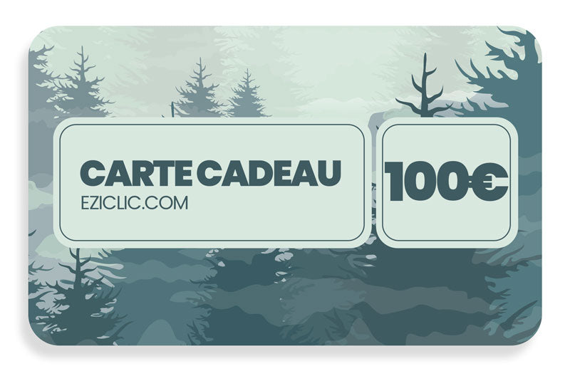 carte cadeau eziclic 100€